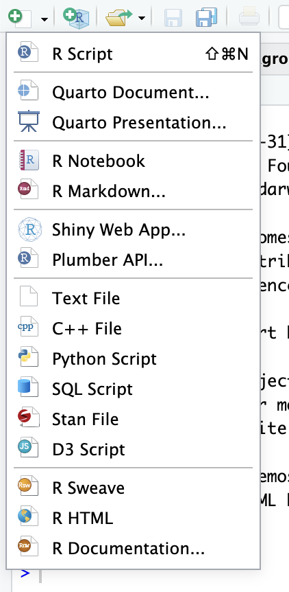 RStudio New File menu opened from the green plus icon, listing R Script, Quarto Document, Quarto Presentation, R Notebook, R Markdown, and other file types.